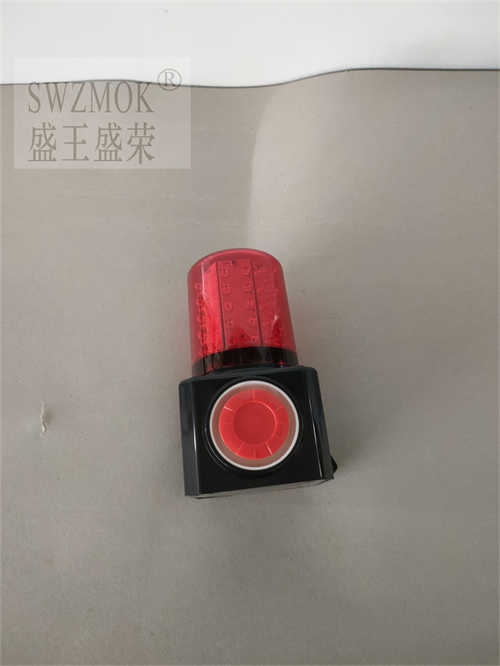 ӱSZSW2710⾯ʾ2022Ѹ£/r