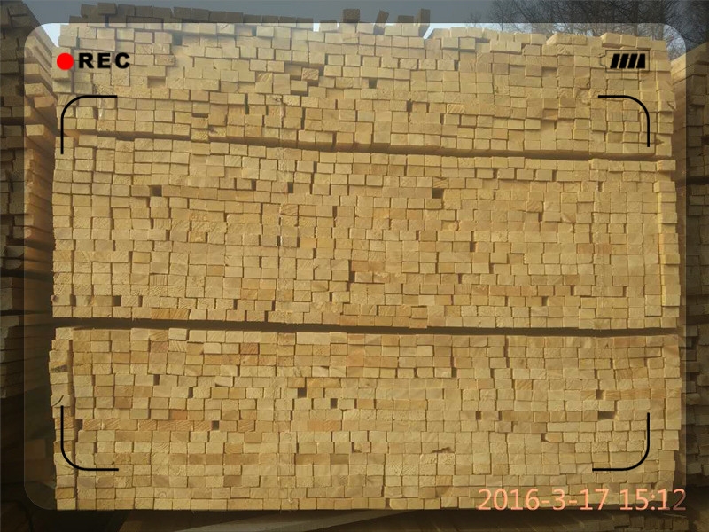 LľӹS
