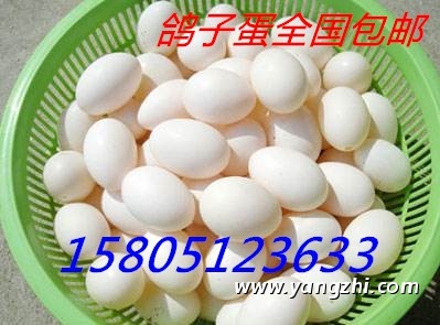 ຣuӵ