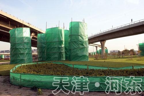 ݈@ְ䲼