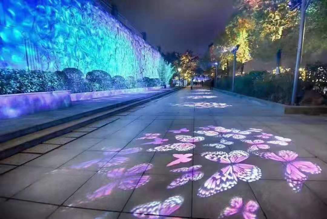 ҹßҹͶӰ