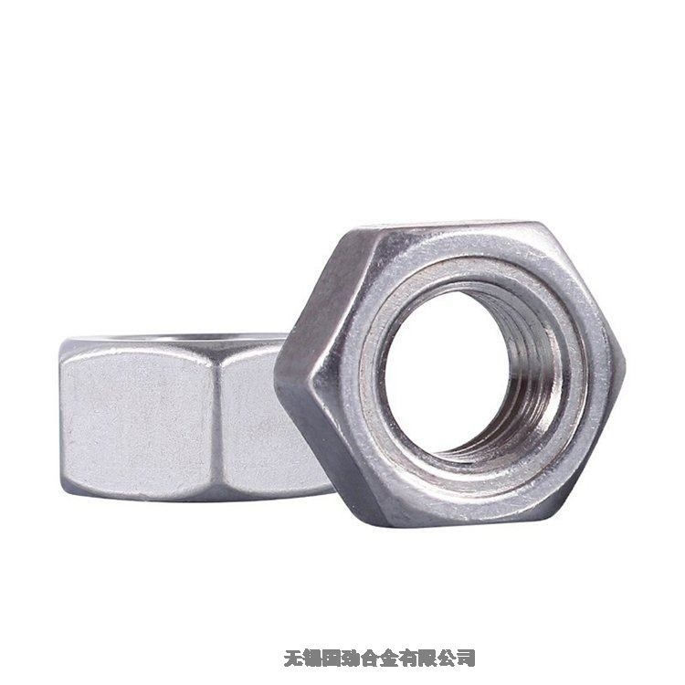 ɽN08926ȫݼy2023Ѹ£/飩