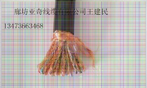 ̌WDZC-HYA23-400*2*0.4󌦔ͨ|F؛