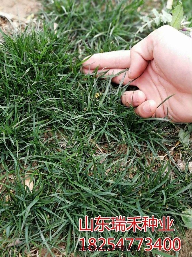 ϵ؅^ƺNӲݷNӏV