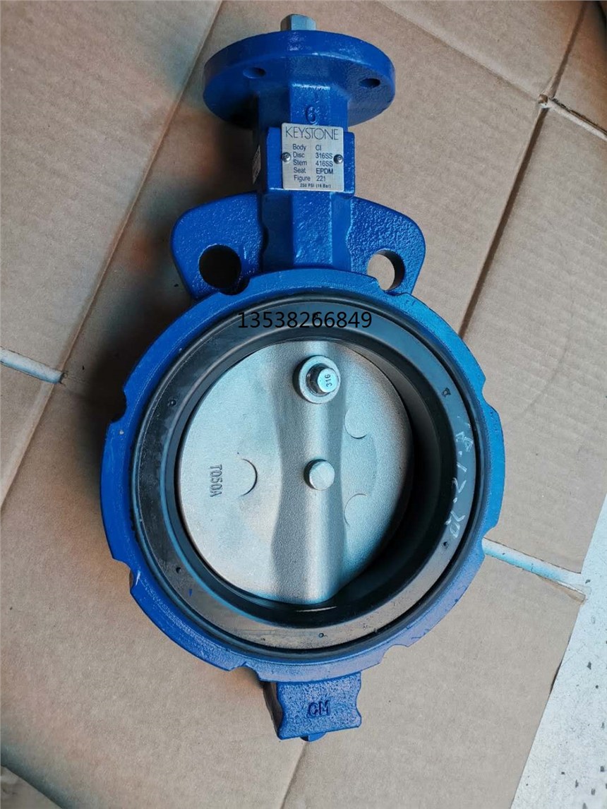 EmersonyT(mn) F221y22-0200W0A10017y