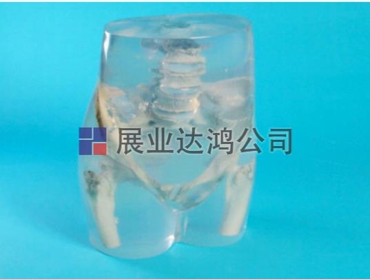 QUART X侀yPģw