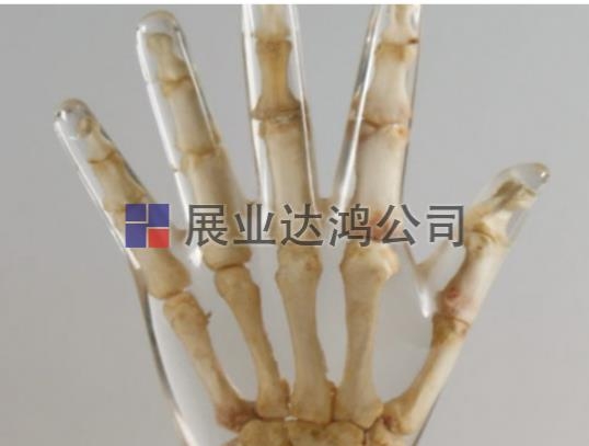 QUART X侀Ӗֱģw