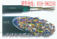 ͨ|HYA53   HYAT53-50x2x0.4