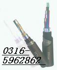HPVV 5*2*0.5侀|