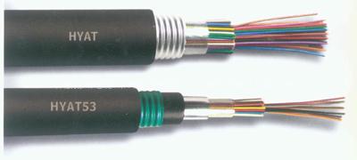 HYV22Ѓ|HYV22 20*2*0.5ͨ|