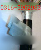 HYA23 30X2X05HYA23zbͨ|r