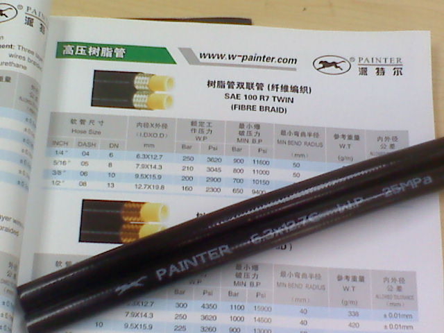 PAINTER֬p