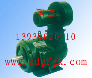 YLJ132 - 16/4늙C  YLJ132 - 25/4늙C