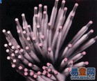ͨD156ti䓶Ѻl