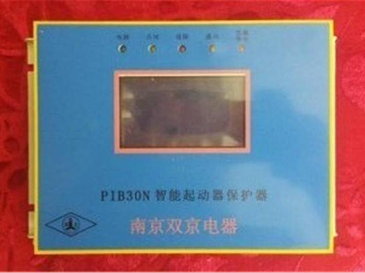 pPIB30No ]