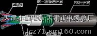 JRLX/T(ACCC)ͺό Xg
