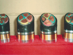 FS-YJV3233ϩo׼䓽zzbˮ|