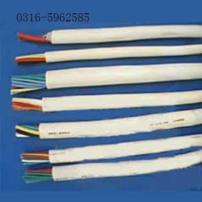 PYV22|PYV22|PYV22zb̖