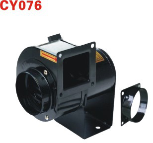 CY076СxL(fng)C(j)