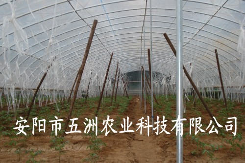 䓹ܸĤǼ ǼܙC(j)
