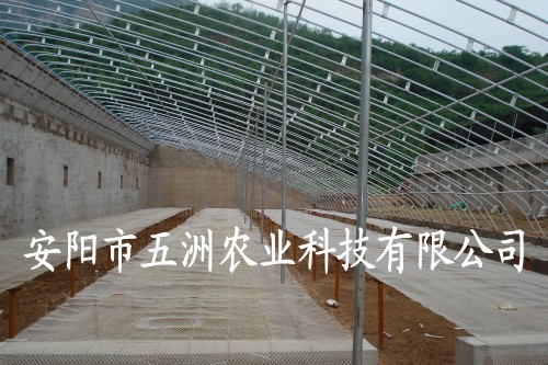 䓹ܜҴ 䓹ܜҴǼ ǼܙC(j)