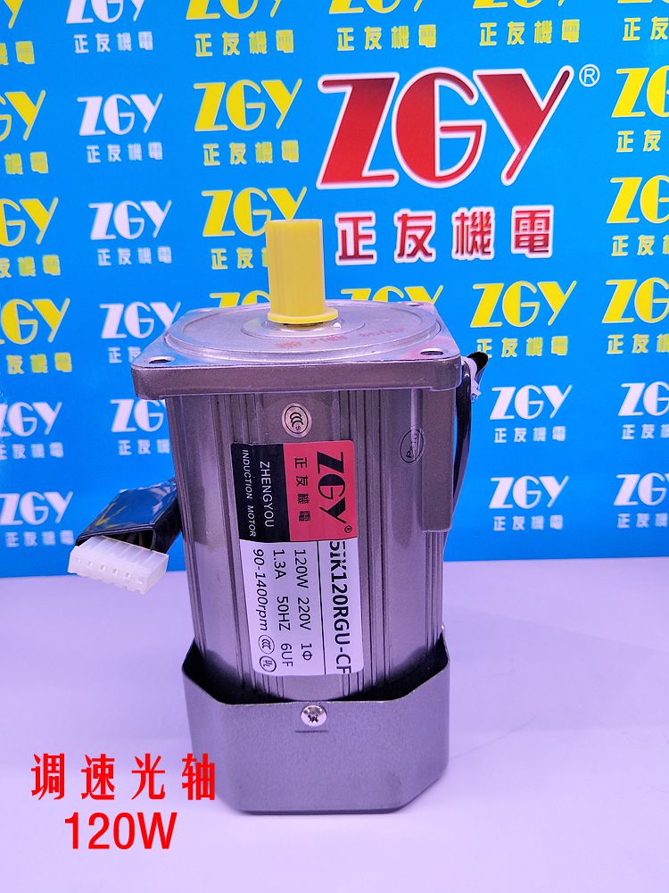 ZGY늙C5IK/RK120A 120WS{늙C/220V/ 